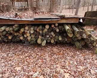 Over 200 fence posts from 3" to 8"