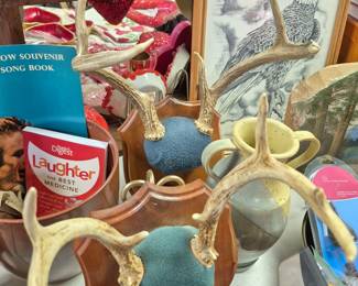 Vintage deer antler mounts