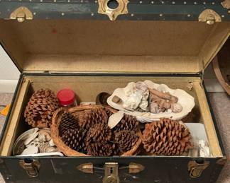 Trunk With Shells