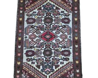 Hand Knotted wool rug