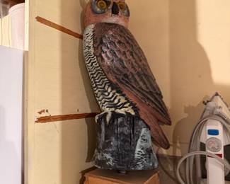 Owl Decoy