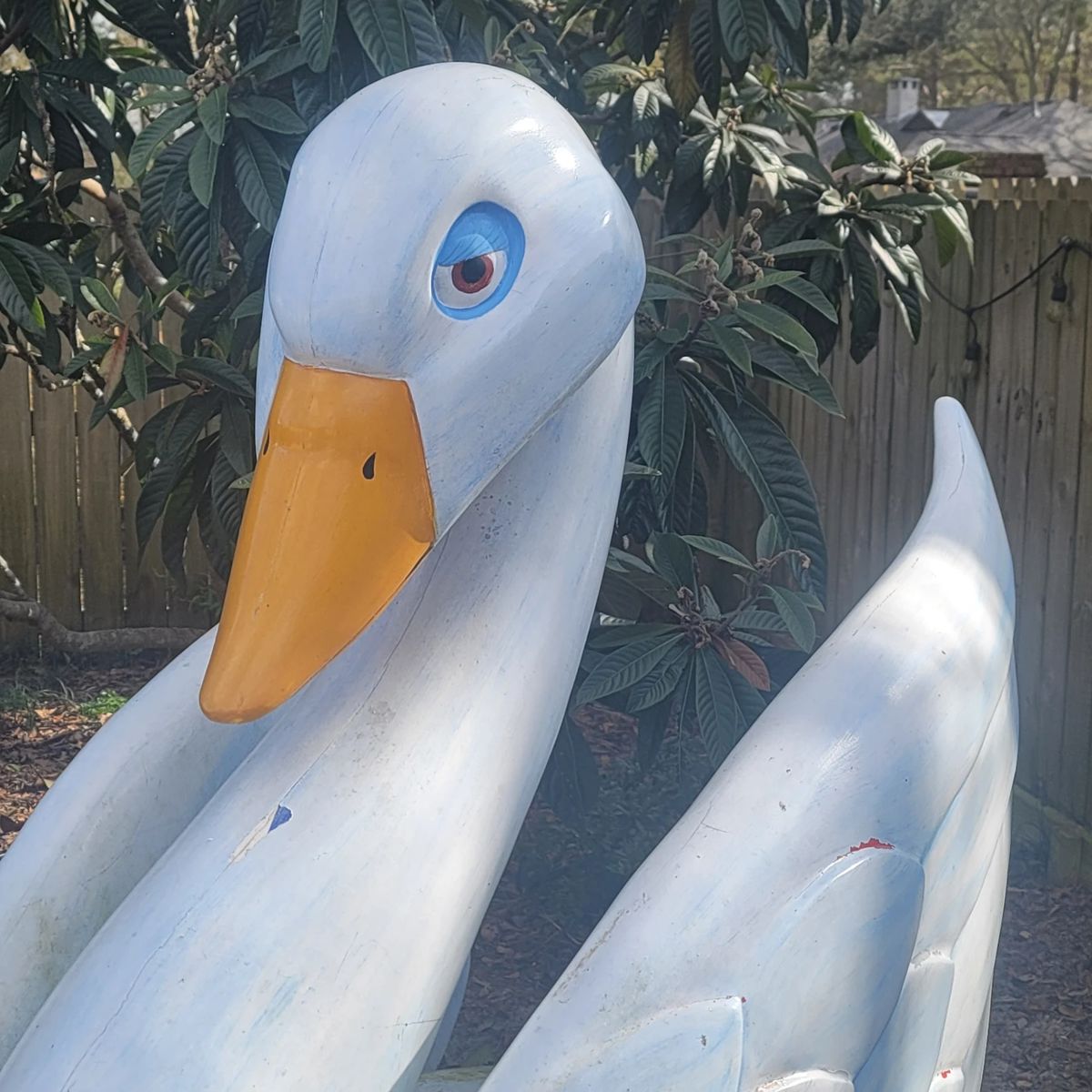 2006 Festival of Swans (provenance Jay Dean - Mississippi Maestro Conductor)