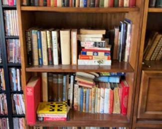 Bookcase Minus All The Books