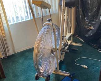 Scwinn Exercise Bike and Weights And Scale