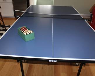 Ping Pong Table