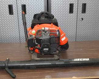 Echo blower