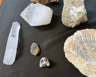 Fossils, shells, + crystals