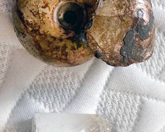 Natural stones + fossils