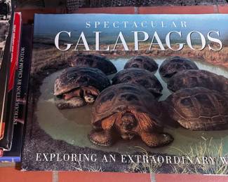 Coffee Table: Travel + art, Allan Houser, Norman Rockwell, Native Americans