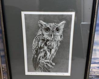 Owl photograph