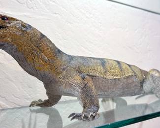 Monitor lizard