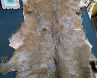 Beaver pelt
