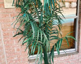 5ft. UV Resistant Artificial Palm Plant,