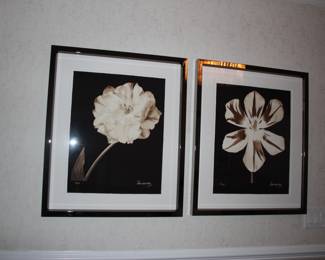 Trowbridge Peter Arnold botanical prints
