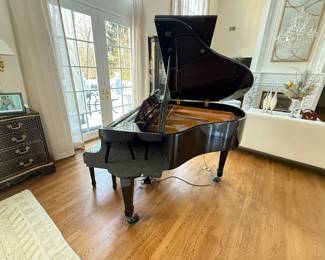 Piano Disc black lacquer baby grand piano PD-500