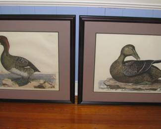 Prints
