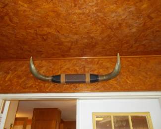 Longhorn mount