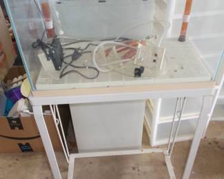 Aquarium and stand