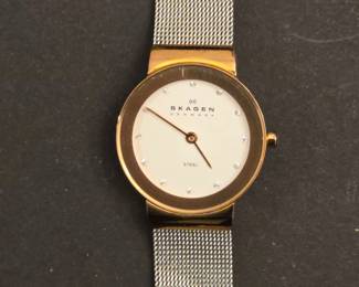 Skagen Freja Silver & Gold Wrist Watch