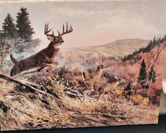 Deer