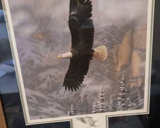 Eagle Photo