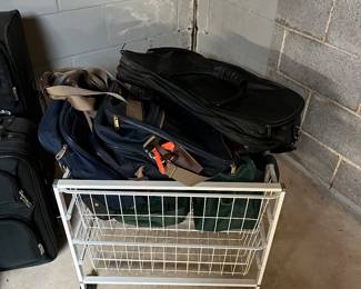 Bags and storage bins