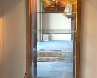 Contemporary Curio Cabinet