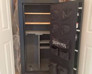 Big Horn gun safe