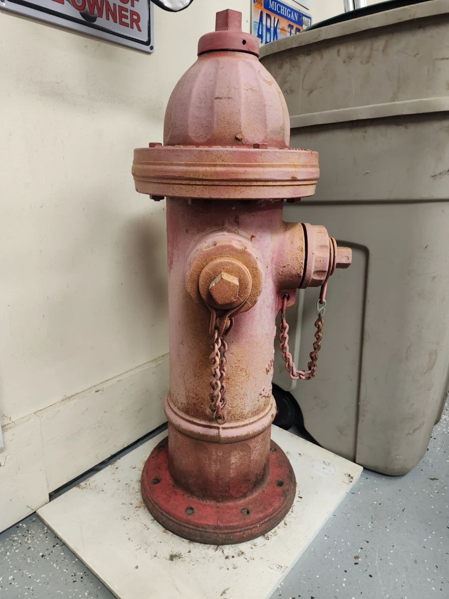 ... your dog will love it