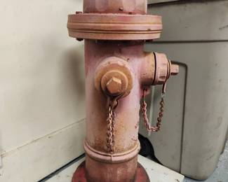 ... your dog will love it