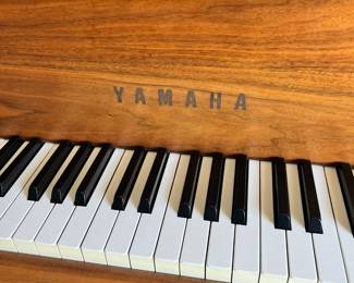 1971 Yamaha G2 Baby Grand in light walnut satin wood finish. In EXCELLENT condition! 