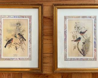 John Gould Aviary Prints