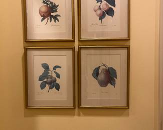 One of many botanicals included in the sale.  In -person shopping only.  Each measures 14.5"w x 18"h