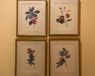 One of many botanicals included in the sale.  In -person shopping only.  Each measures 14.5"w x 18"h. Available during inperson shopping.