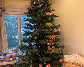 A few of the tree with the lights turned off to get a perspective of the branch structure 