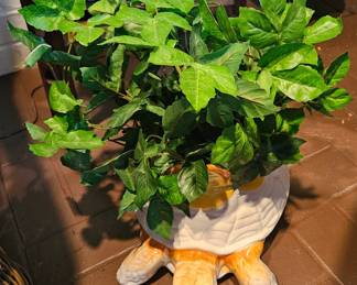 Turtle planter