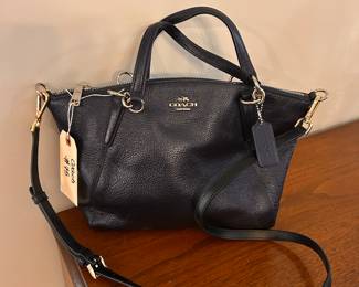 Coach Bag / $75