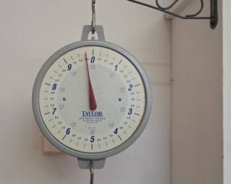 Taylor hanging scale