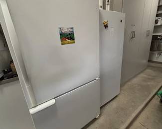 Garage refrigerator and freezer