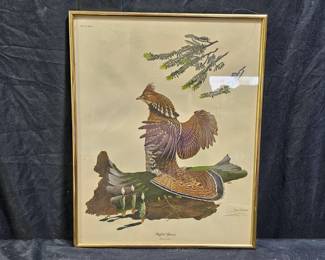 "Ruffled Grouse" Signed Print by Ray Harm
