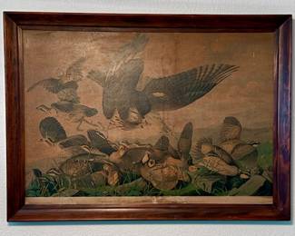 Audubon Chromolithograph Print. c1850
Frame is 40 x 29