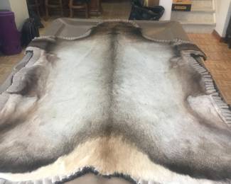 Elk hide!