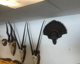 Makes a nice wall hanging!