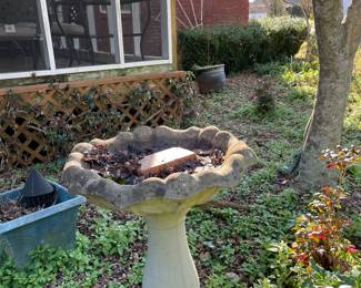 Bird bath