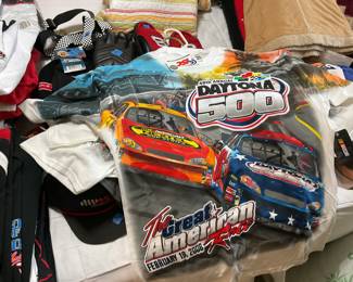 Some Examples of the Earnhardt T’s