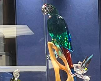 Macaw Peter Pan and tinkerbell 