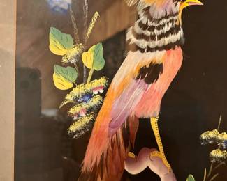 (bird feather picture)