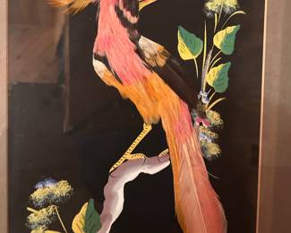 (bird feather picture)