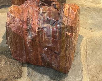 Petrified Wood Decor