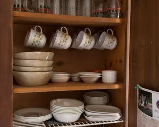 Everyday Kitchen Dishes and Kitchen Needs